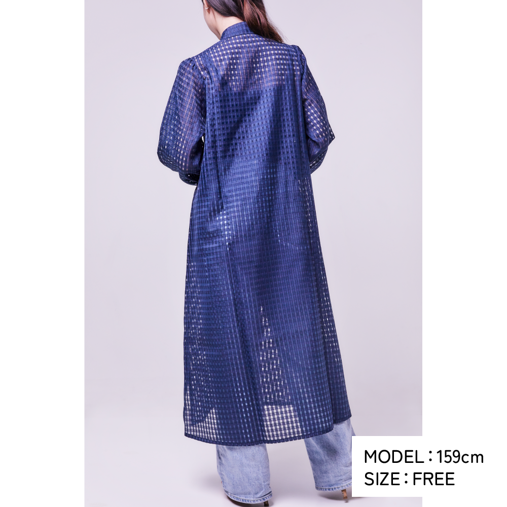 GINGHAM CHECK SHEER FLARED DRESS