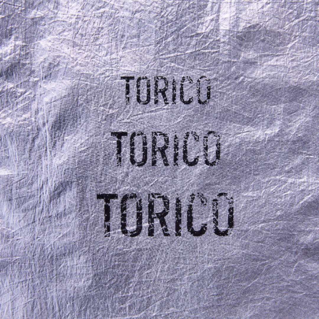 Torico Mesh Tote Bag