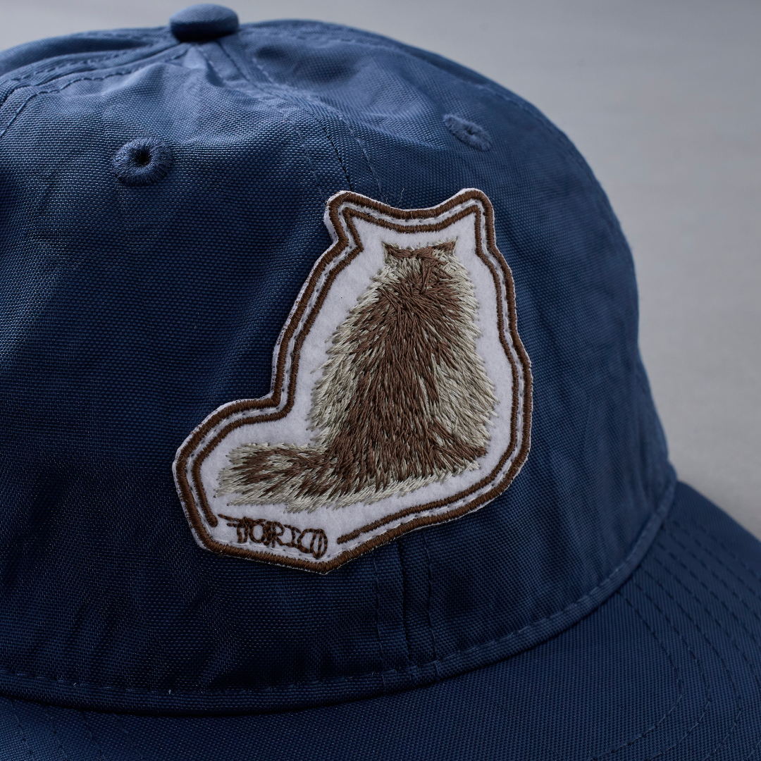 Cat Stitch Cap