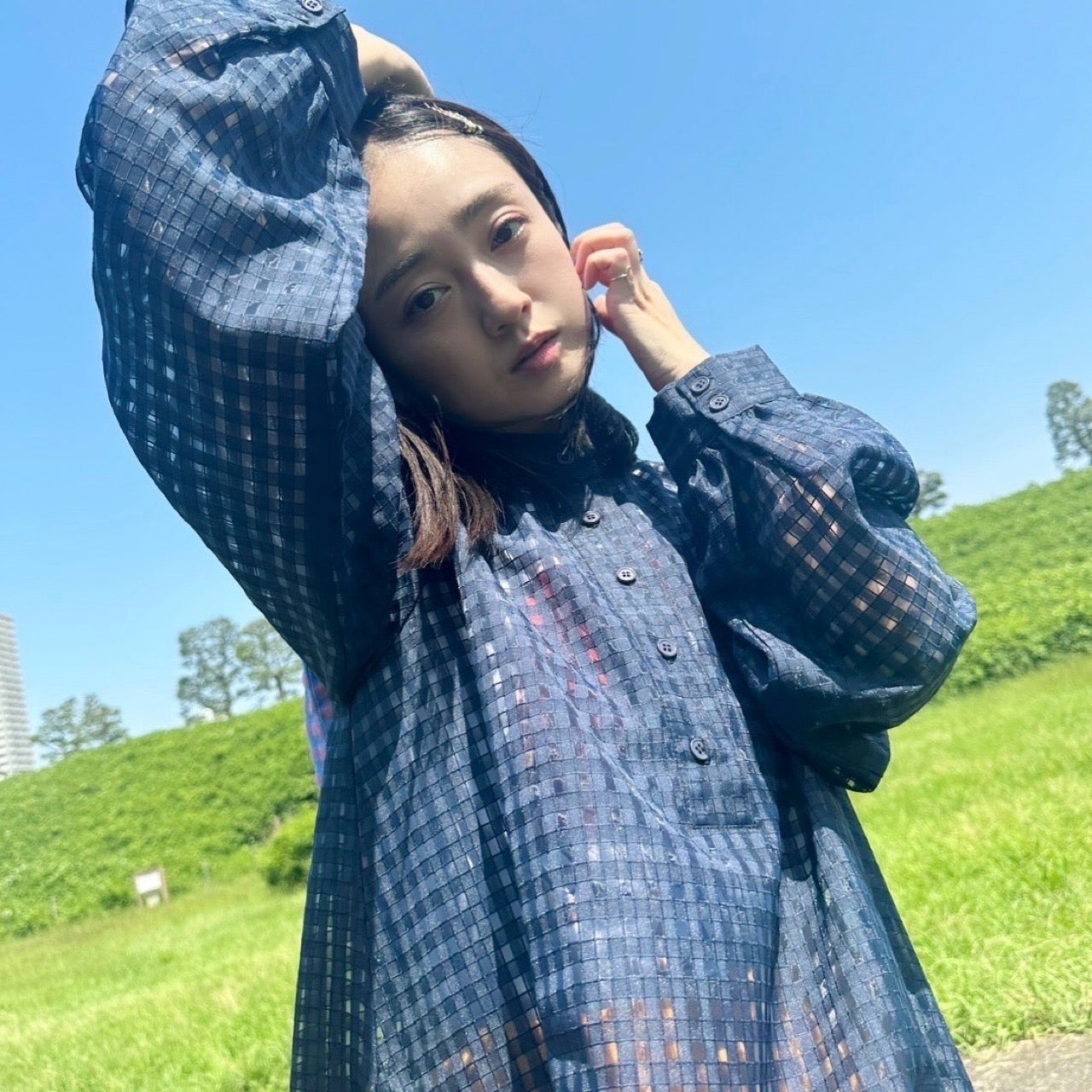 GINGHAM CHECK SHEER FLARED DRESS